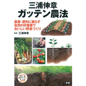 楽天市場 野菜作り 人気ランキング1位 売れ筋商品 楽天市場 野菜作り 人気ランキング1位 売れ筋商品
